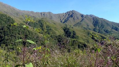 ¿Dónde queda y qué hacer en la Selva Nublada?