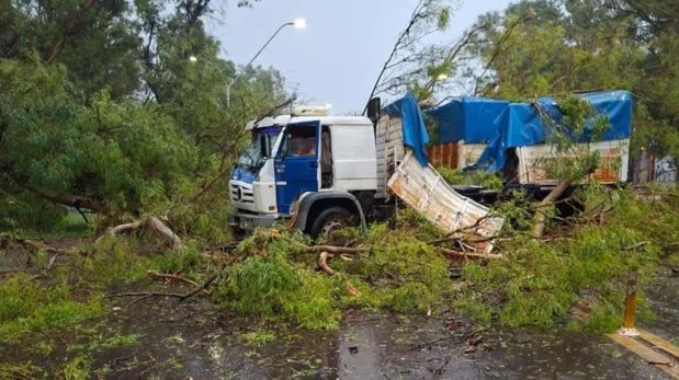 Un árbol cayó sobre el acoplado de un camión y bloqueó el tránsito en la Ruta 11.