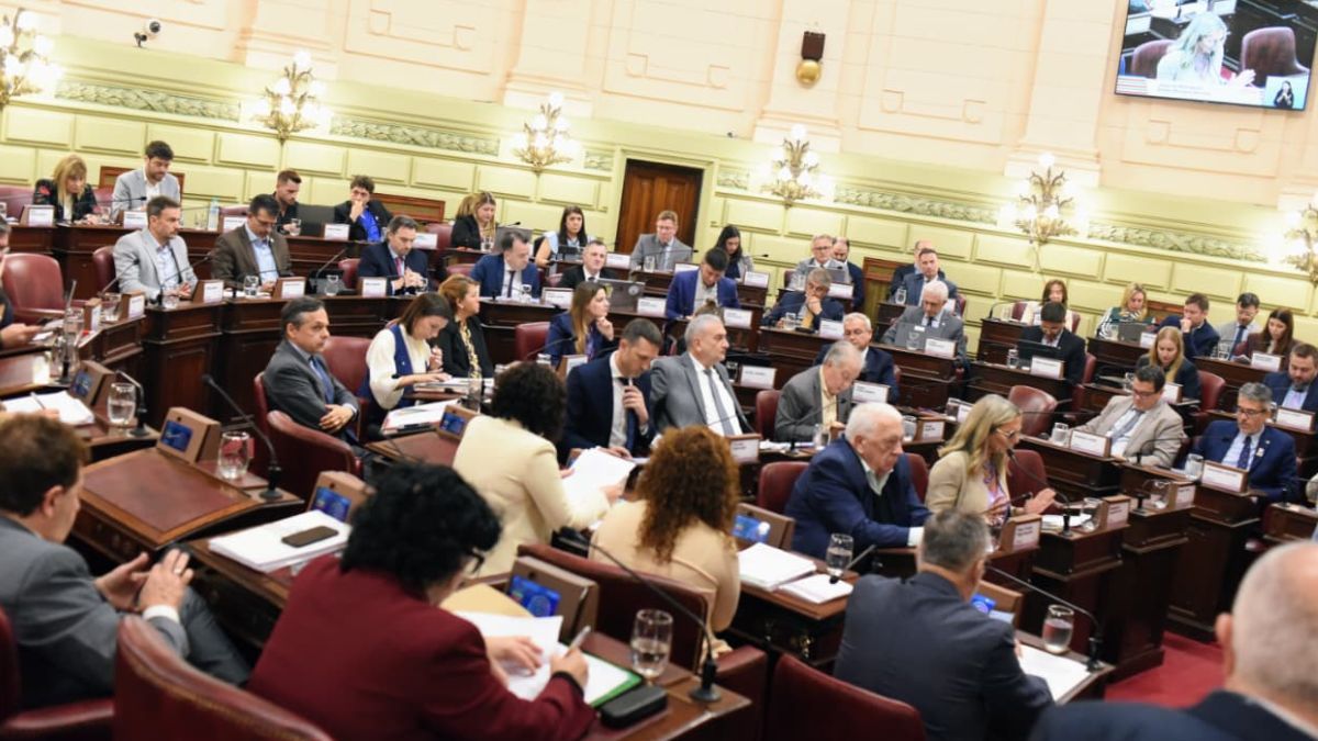 Luego de casi dos meses de intenso trabajo –tanto en las comisiones temáticas como en las sesiones del pleno– se incorporaron al texto constitucional 44 nuevos artículos