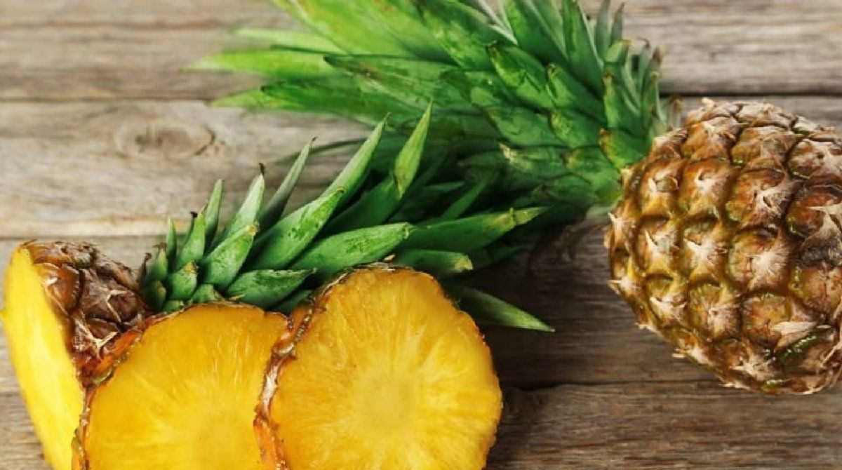 Consumirla de noche tiene beneficios extras; como agilizar la pérdida de peso y mejorar el sueño.