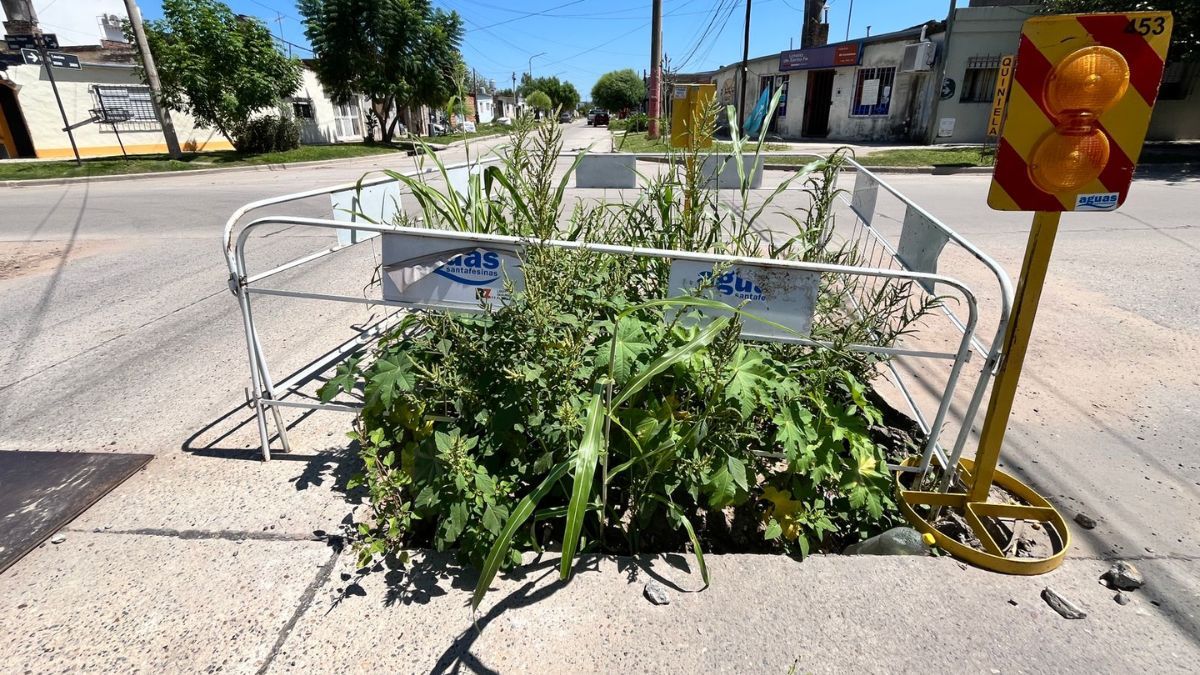 La maleza dentro de los corralitos preocupa a los vecinos.