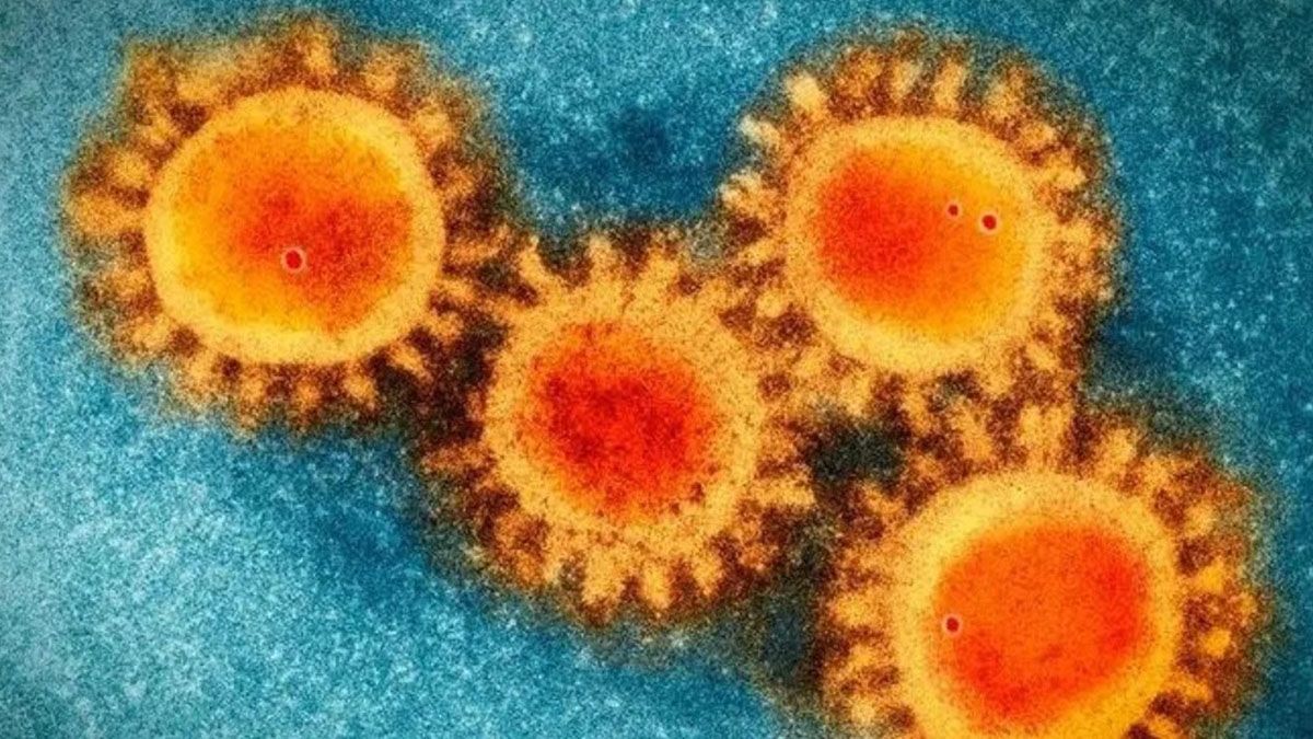 La mutación se llama S_E484K y fue detectada en cinco muestras de pacientes&nbsp;