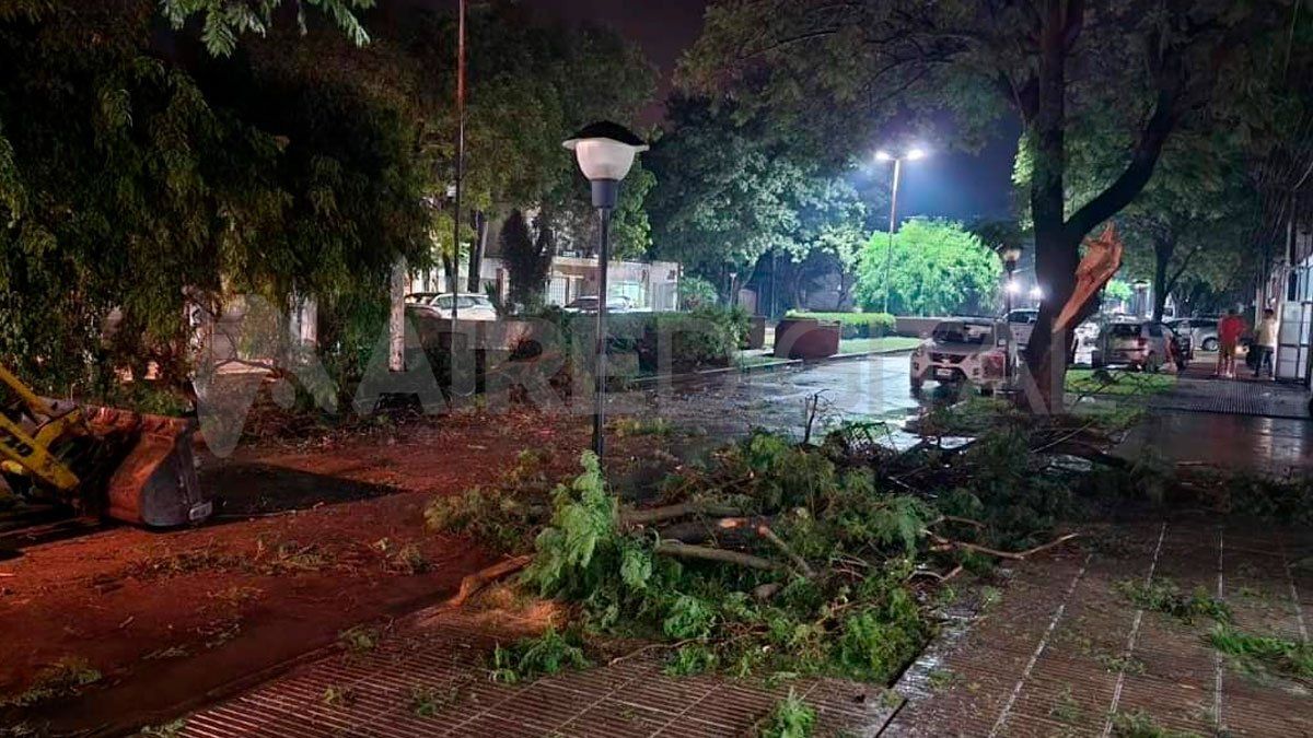 El temporal dejó calles cortadas por árboles y ramas caídas y gran parte del servicio eléctrico sin funcionar.