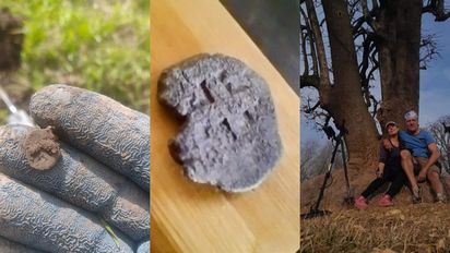 La increíble historia detrás de la moneda macuquina del siglo XVII encontrada en San Jerónimo del Sauce