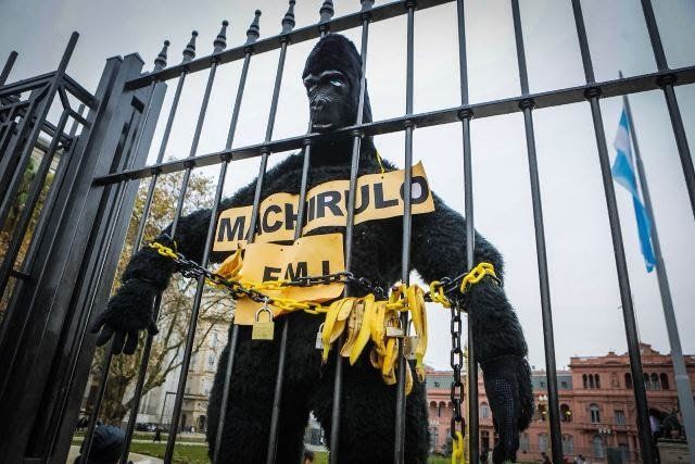Hebe de Bonafini colgó un gorila en la Plaza de Mayo y tildó a Macri de “machirulo”