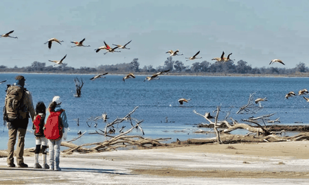 La Laguna Mar Chiquita constituye uno de los humedales salinos más relevantes a nivel global, sirviendo como refugio crítico para miles de flamencos rosados que habitan sus costas. La Laguna Mar Chiquita constituye uno de los humedales salinos más relevantes a nivel global, sirviendo como refugio crítico para miles de flamencos rosados que habitan sus costas.