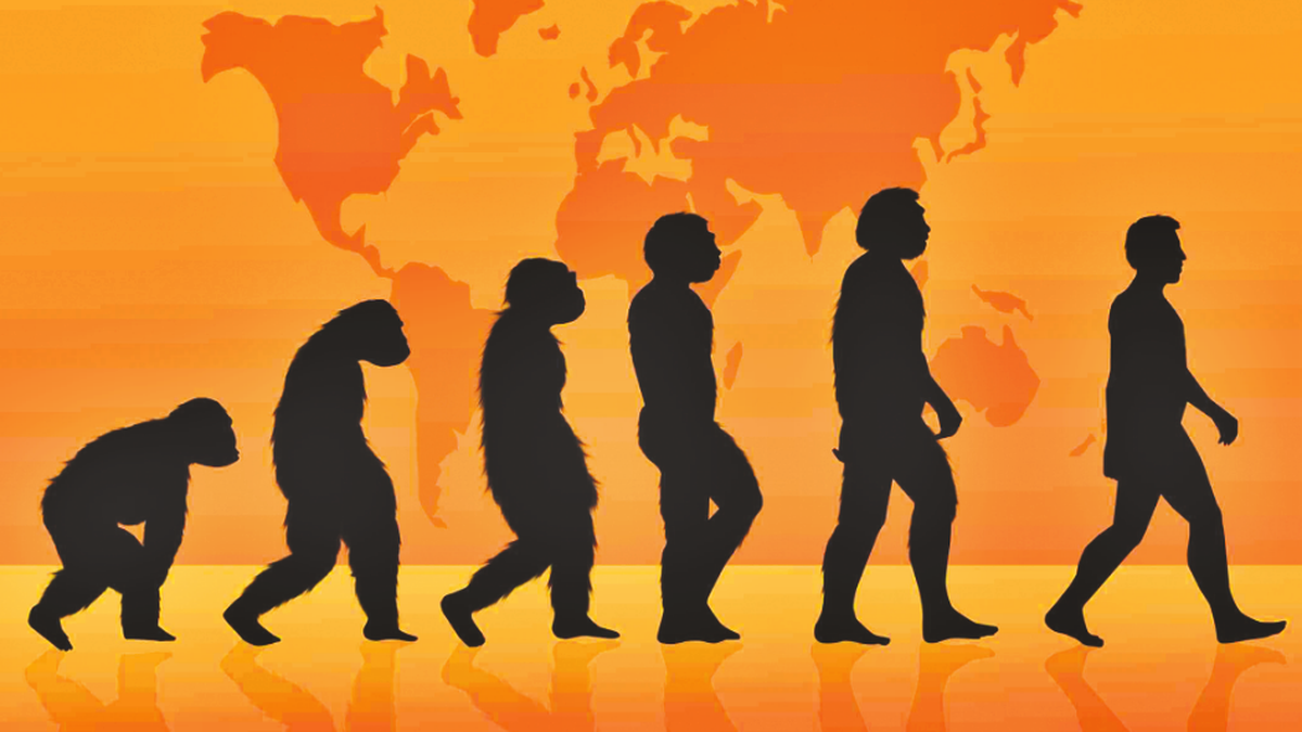 Día Mundial de la Evolución: ¿por qué se celebra el 24 de noviembre?