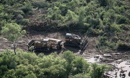 Se estima que el 75% de la deforestación en Argentina de las dos últimas décadas se concentra en las provincias del Gran Chaco. Se estima que el 75% de la deforestación en Argentina de las dos últimas décadas se concentra en las provincias del Gran Chaco.
