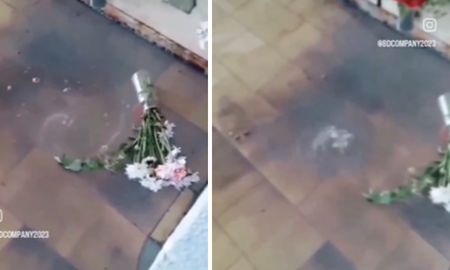 imagenes impactantes: un fantasma fue captado en camara dentro de un cementerio imagenes impactantes: un fantasma fue captado en camara dentro de un cementerio