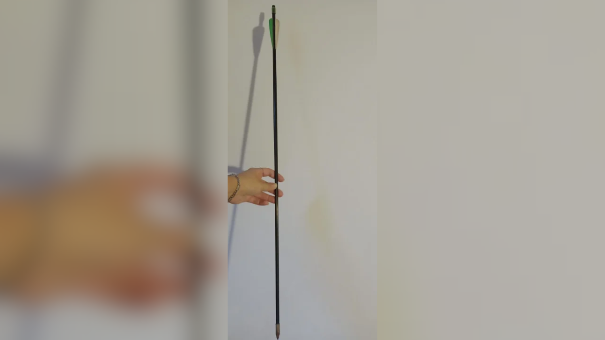 Alarma en Neuquén: denuncian que un vecino le tira flechas a los niños Alarma en Neuquén: denuncian que un vecino le tira flechas a los niños