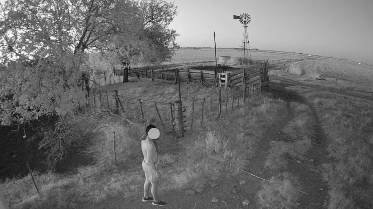 El cuatrero advirtió la presencia de cámaras y huyó del lugar sin concretar el abigeato