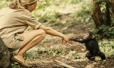 Los tres desafíos de Jane Goodall con respecto al cambio climático Los tres desafíos de Jane Goodall con respecto al cambio climático