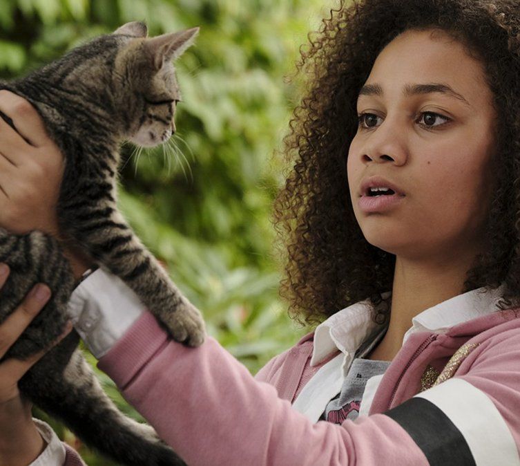 Cinco razones para ver Upside Down Magic