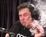 Elon Musk se convirtió en uno de los hombres más visionario e influyente de los últimos años. Elon Musk se convirtió en uno de los hombres más visionario e influyente de los últimos años.