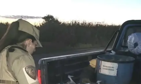 cordoba: revisaron la caja de una camioneta en la ruta y lo que encontraron los dejo sin aliento cordoba: revisaron la caja de una camioneta en la ruta y lo que encontraron los dejo sin aliento