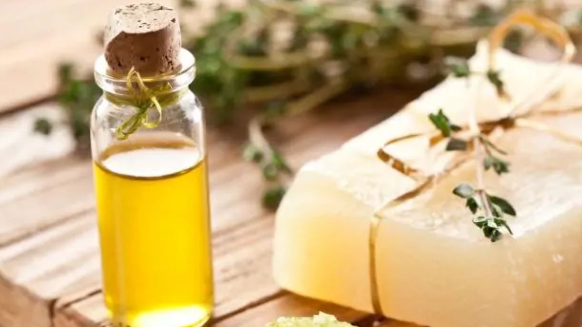 Aplicar el remedio por la ma&ntilde;ana mejora su eficacia y reduce riesgos en las hojas.