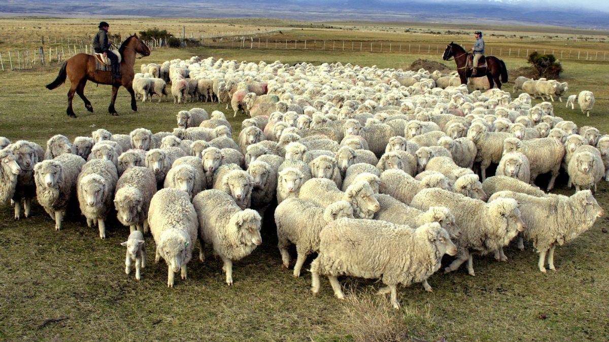 "Tenemos un estatus sanitario virtuoso que costó años de esfuerzo consolidar", enfatizó.