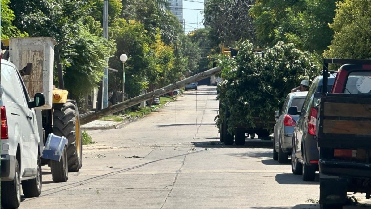 La caída de dos postes de telefonía preocupó a los vecinos de barrio Centenario este miércoles por la mañana.