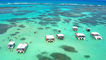 Escapada a un mágico pueblo de Brasil con aguas cristalinas y fauna que parece de película