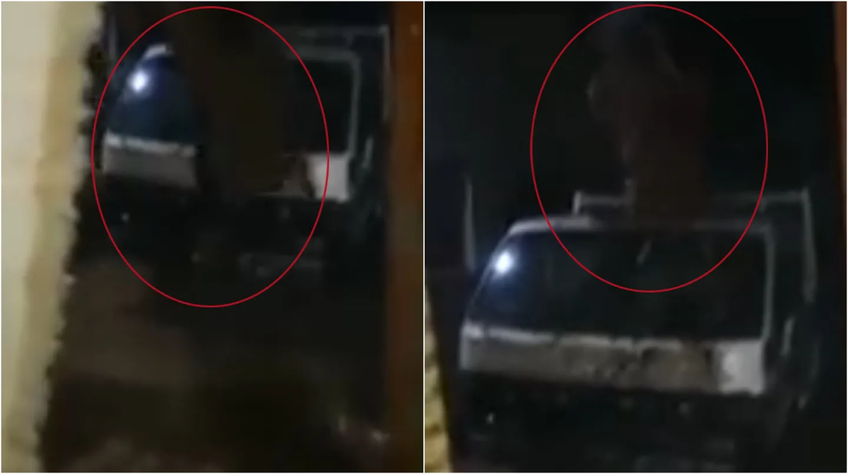 Video: grabaron a una bruja recorriendo casas cercanas a un cementerio