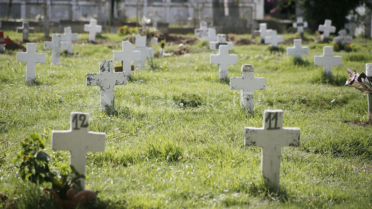 Las imágenes que muestran el abandono del Cementerio Municipal