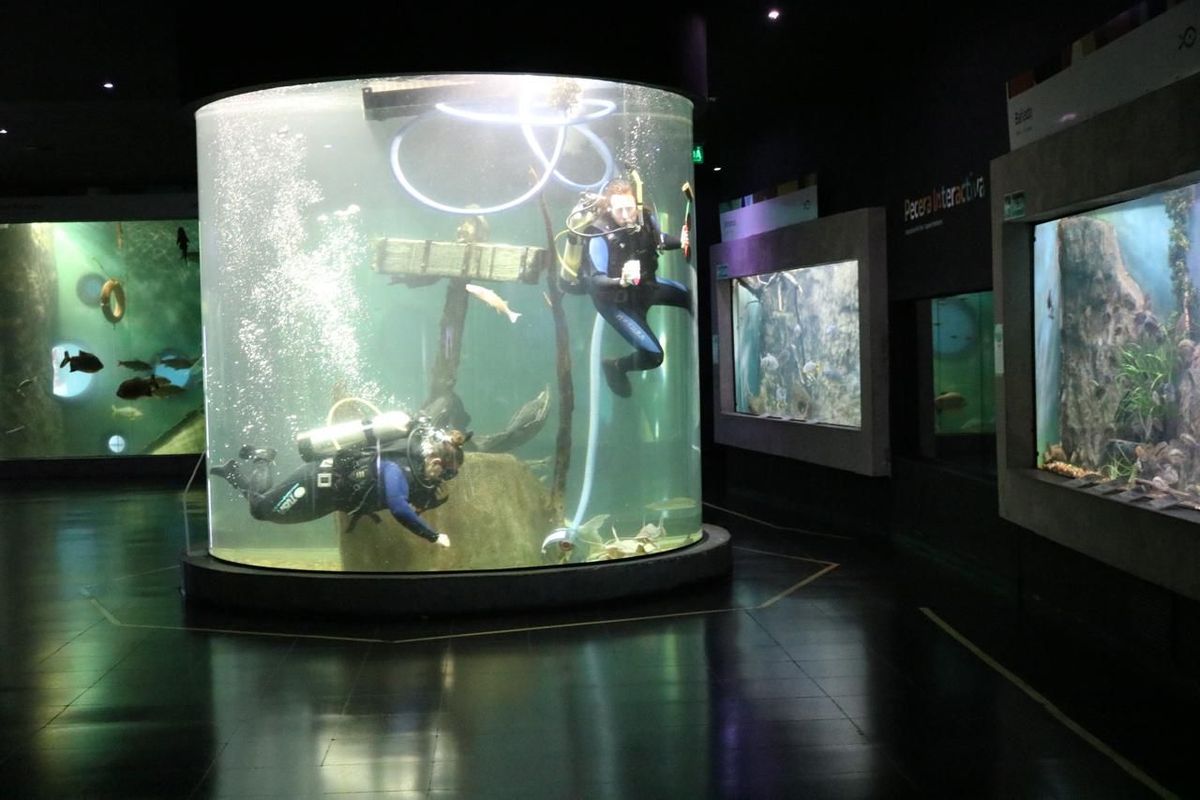 El Acuario del Río Paraná