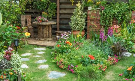 Un jardín de verano lleno de color puede lograrse con especies que florecen rápido y resisten el calor. Un jardín de verano lleno de color puede lograrse con especies que florecen rápido y resisten el calor.