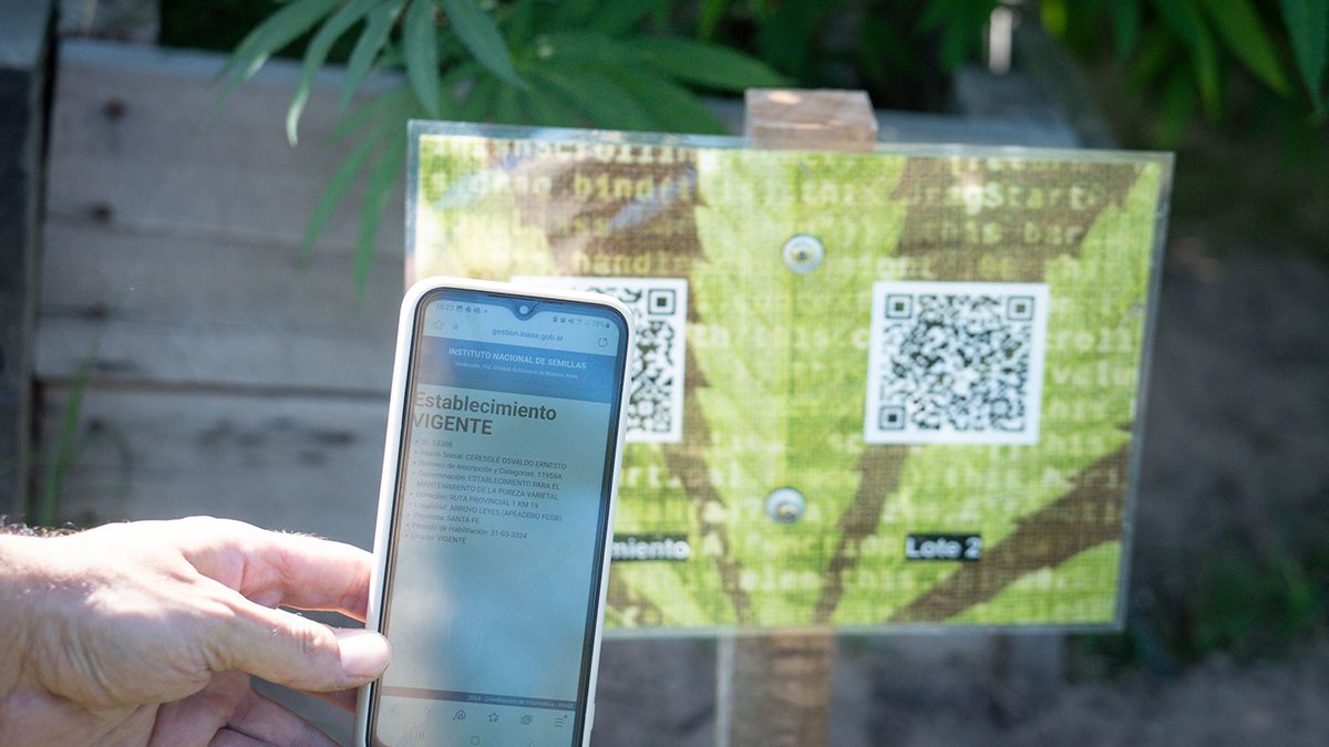 La banda colocaba códigos QR en las parcelas del campo para aparentar una supuesta legalidad del emprendimiento. La banda colocaba códigos QR en las parcelas del campo para aparentar una supuesta legalidad del emprendimiento.