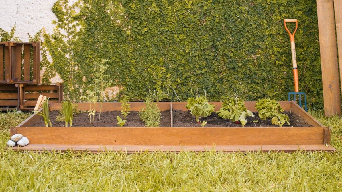 Prepará tu huerta para la primavera.