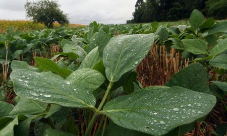 El CMMC estimó que las lluvias podrían presentar carácter localmente fuerte, con acumulados que oscilarán entre 60 mm y 100 mm. El CMMC estimó que las lluvias podrían presentar carácter localmente fuerte, con acumulados que oscilarán entre 60 mm y 100 mm.
