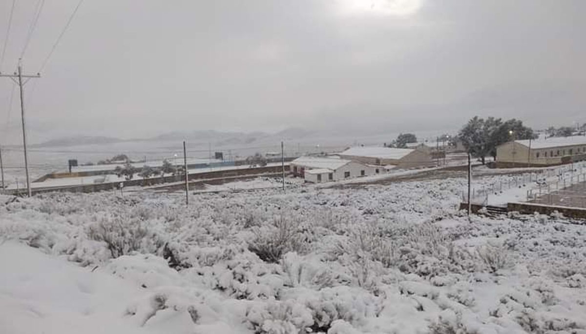 Nieve en El Aguilar, Jujuy.