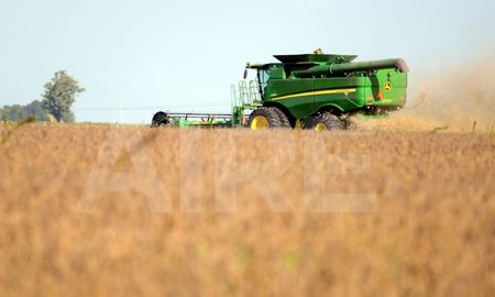 Se calcula que China requerirá entre 100 y 103 millones de toneladas de soja este año. Se calcula que China requerirá entre 100 y 103 millones de toneladas de soja este año.