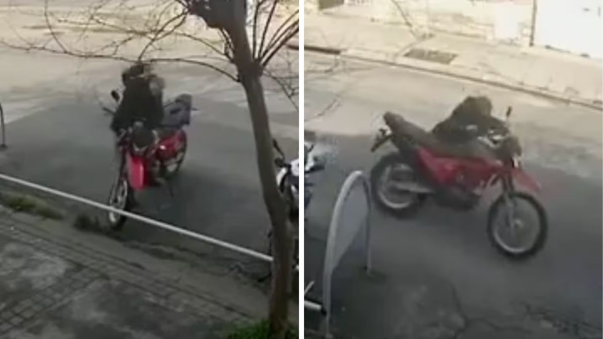 Un robo registrado por cámaras de seguridad en plena vía pública.