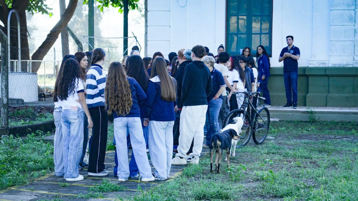 Estudiantes regresan a las aulas en San Cristóbal: entre la necesidad de retomar la rutina y el desafío de procesar el impacto emocional tras la tragedia. Estudiantes regresan a las aulas en San Cristóbal: entre la necesidad de retomar la rutina y el desafío de procesar el impacto emocional tras la tragedia.