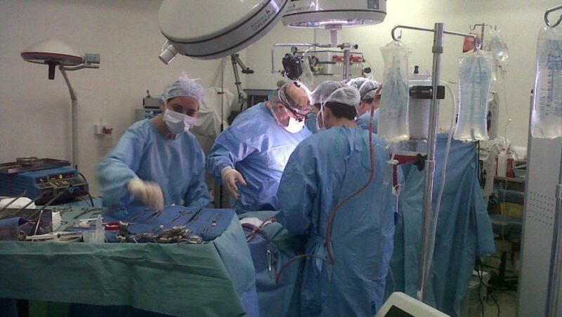 TRANSPLANTE e1568753311337.jpg