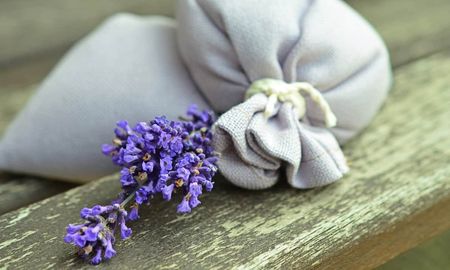 Cómo plantar lavanda en una taza y perfumar cualuier ambiente del hogar. Cómo plantar lavanda en una taza y perfumar cualuier ambiente del hogar.