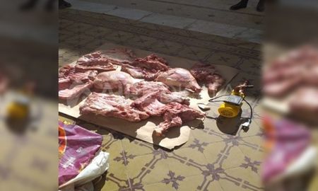 El personal policial logró el secuestro del animal faenado y la bomba de agua El personal policial logró el secuestro del animal faenado y la bomba de agua