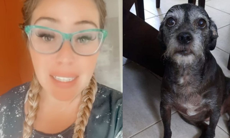 La humorista mostró su angustia luego de que los cohetes afectaran a su perrita Xuxa que debió ser asistida por un veterinario. La humorista mostró su angustia luego de que los cohetes afectaran a su perrita Xuxa que debió ser asistida por un veterinario.