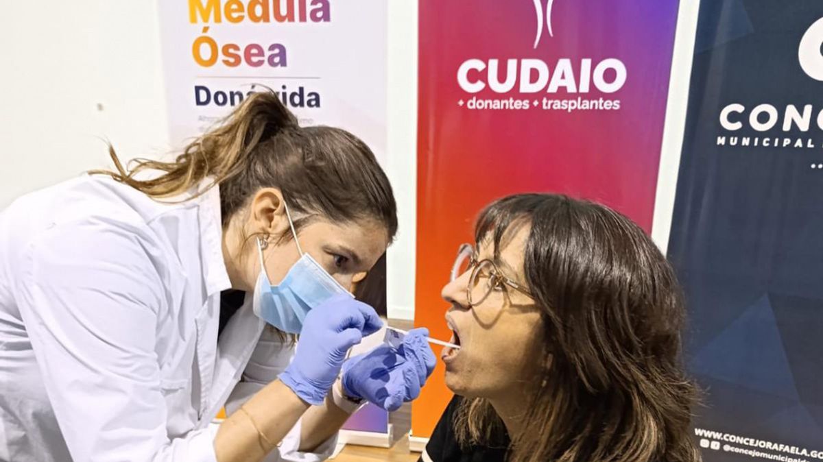 El trasplante de médula ósea se emplea como tratamiento de la leucemia y otras patologías de la sangre. El trasplante de médula ósea se emplea como tratamiento de la leucemia y otras patologías de la sangre.