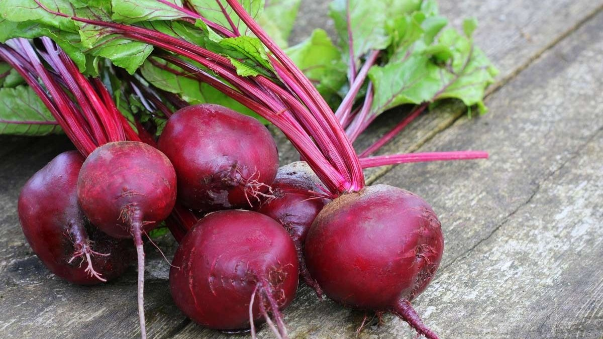 Salud y rendimiento deportivo: 5 beneficios fundamentales de la remolacha