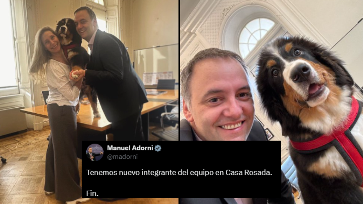 Thor: el perro que se incorporará a la Casa Rosada como mascota acompañante de Javier Milei