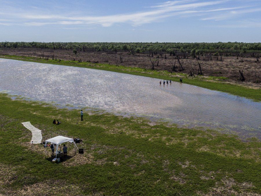 Un accidente entre dos embarcaciones en el río Paraná, que causó el naufragio de una de las naves hace ya casi 80 años, es el curioso origen del proceso de formación de la isla Los Mástiles, situada frente a la ciudad santafesina de Granadero Baigorria, y sobre la que ambientalistas de la zona piden por estos días que sea declarada ´reserva protegida´ luego de verse afectada por las últimas quemas en el humedal. Foto: Télam