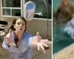 intento hacer reto viral de tik tok y cayo directo en la piscina intento hacer reto viral de tik tok y cayo directo en la piscina