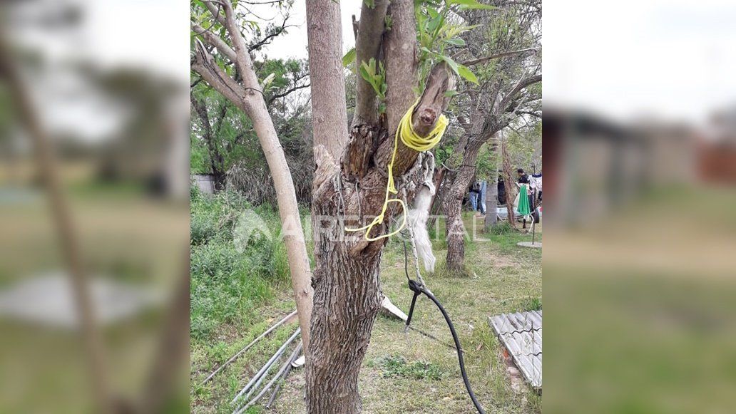 Maltrato animal: recuperó la libertad la mujer detenida por matar a un perro en Cayastá