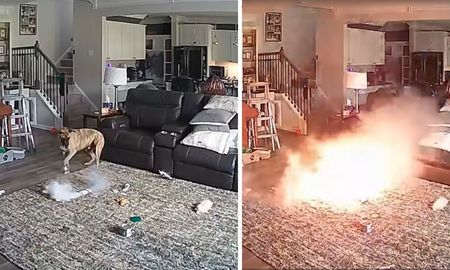 Un perro mordió una batería de litio y provocó un incendio en una casa. Un perro mordió una batería de litio y provocó un incendio en una casa.
