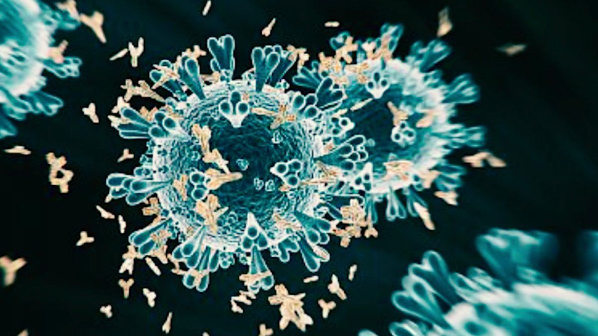 La variante Delta no da tregua en Europa y países de otros continentes donde los casos están en aumento.