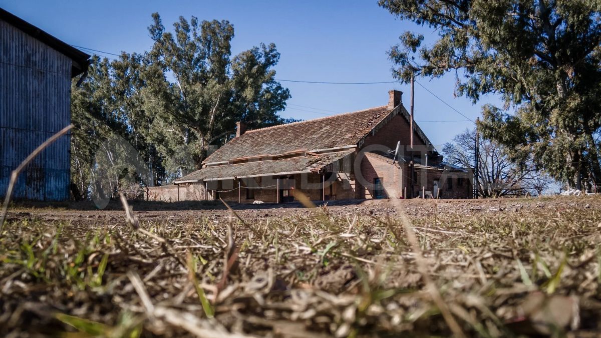 La estación Palacios es el punto de partida de una historia marcada por la adversidad y la esperanza, donde los primeros colonos judíos enfrentaron el abandono, las enfermedades y el hambre antes de dar origen a Moisés Ville. La estación Palacios es el punto de partida de una historia marcada por la adversidad y la esperanza, donde los primeros colonos judíos enfrentaron el abandono, las enfermedades y el hambre antes de dar origen a Moisés Ville.