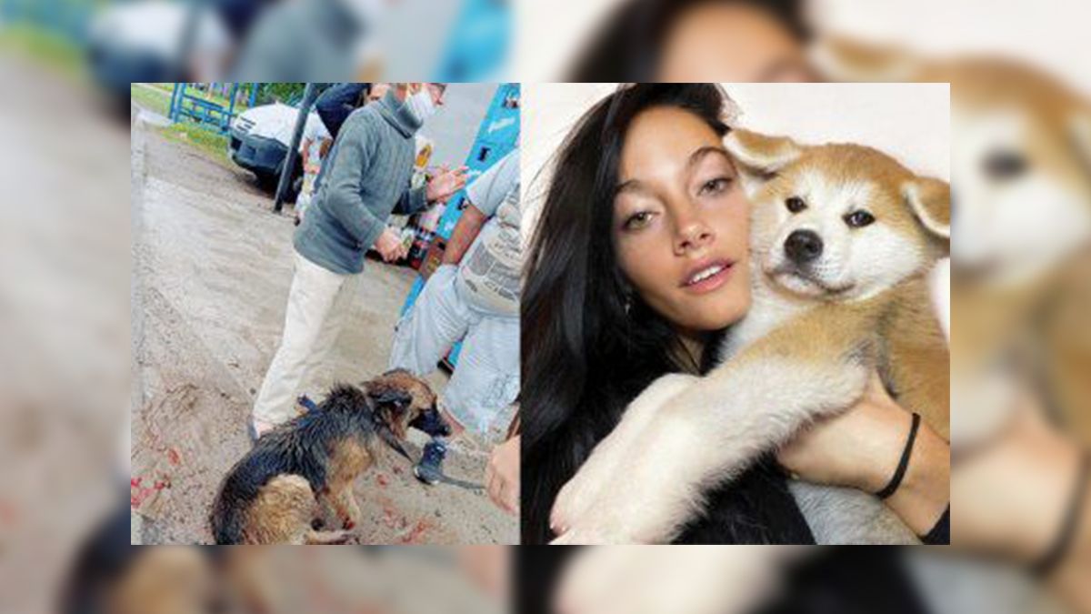 Oriana se mostró sumamente enojada ante el hecho que ocurrió en la localidad de Guernica