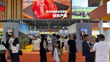 SIAL China 2026: la carne argentina llega a Shanghái con la mira puesta en las nuevas cuotas SIAL China 2026: la carne argentina llega a Shanghái con la mira puesta en las nuevas cuotas