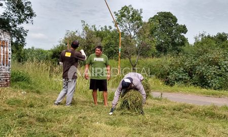 vecinos del parque garay cortan yuyos y limpian espacios publicos vecinos del parque garay cortan yuyos y limpian espacios publicos